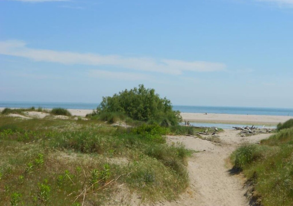 Photo of Outdoor in Rosapineta