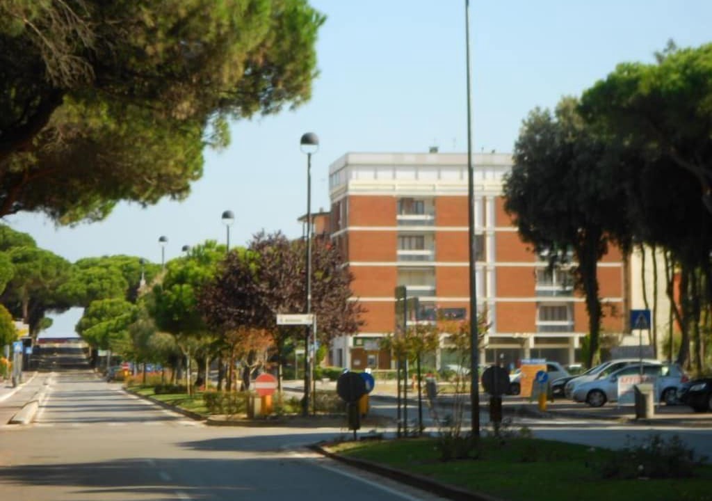 Photo of Others in Rosapineta