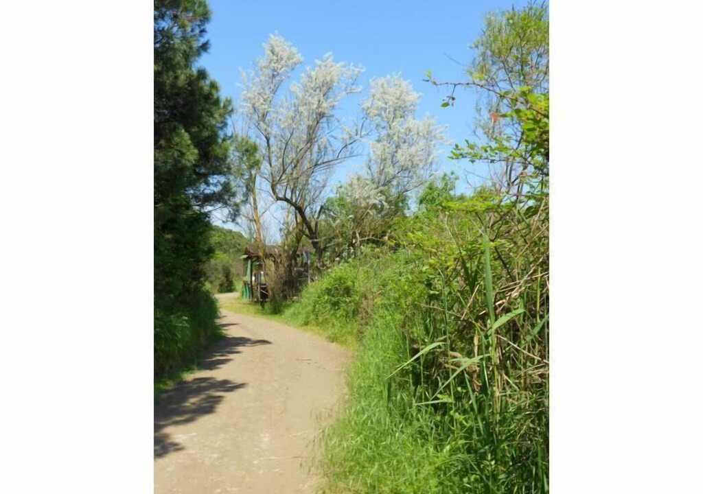 Photo of Others in Rosapineta