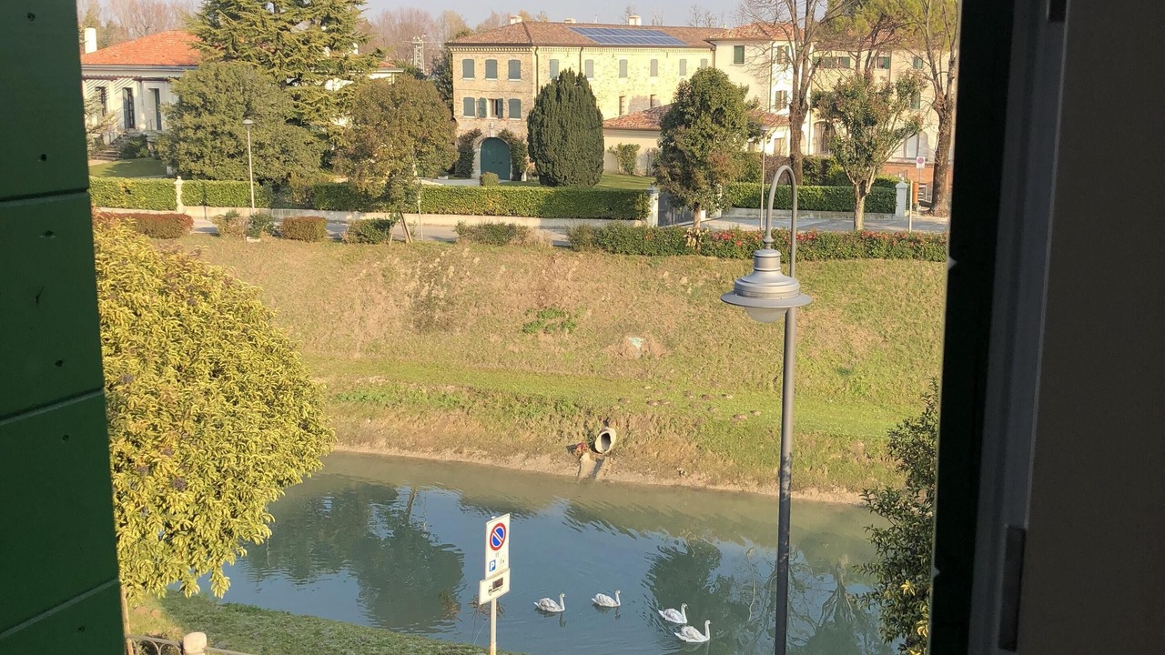 Photo of Others in Motta di Livenza