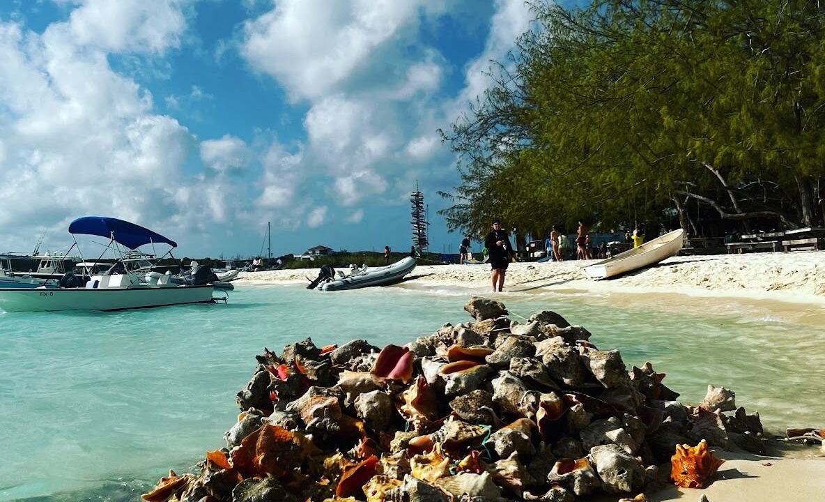 Photo of Others in George Town