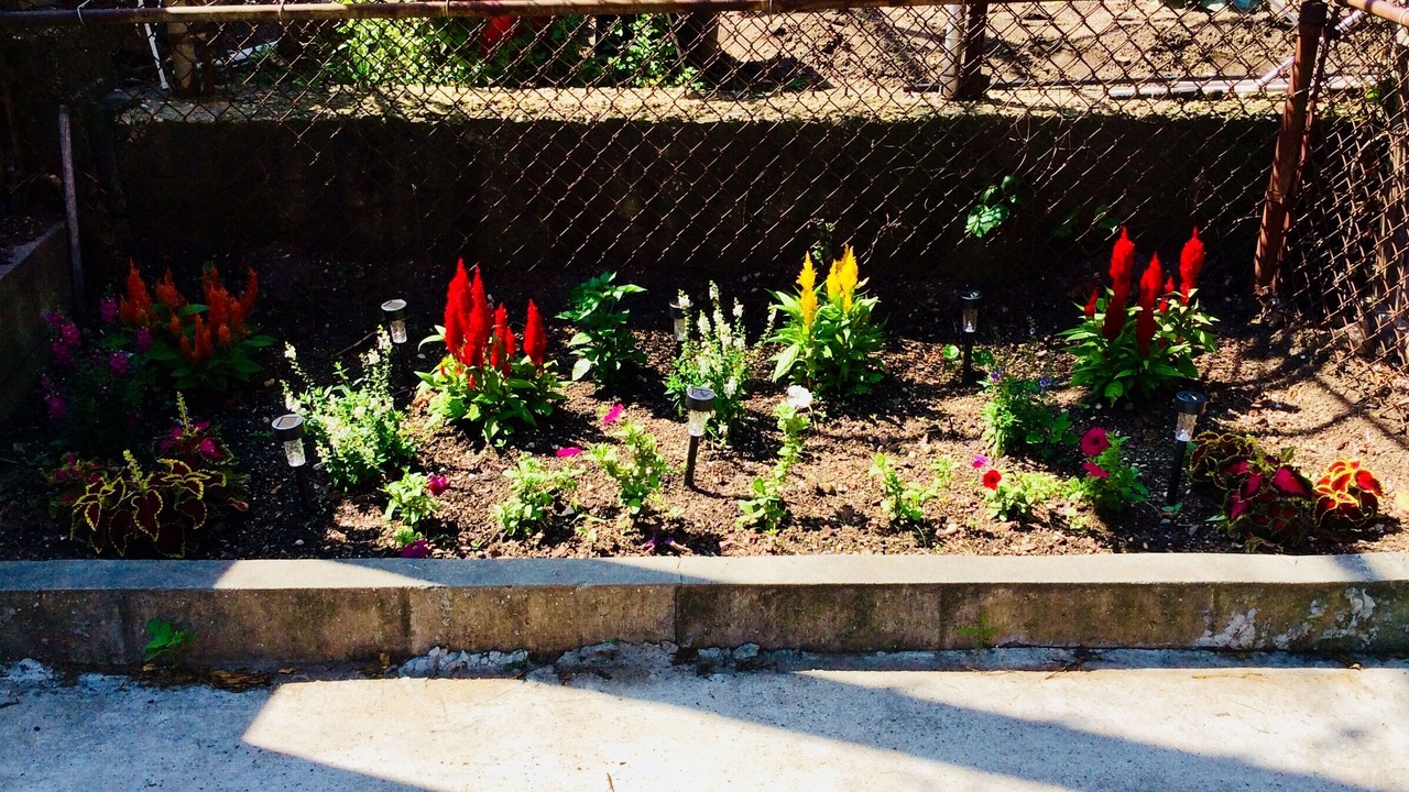 Photo of Outdoor in Canarsie