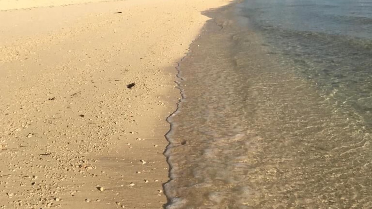 Photo of Others in Bahamas Terrace