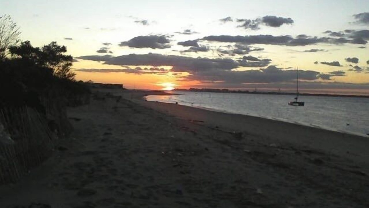 Photo of Others in Sheepshead Bay