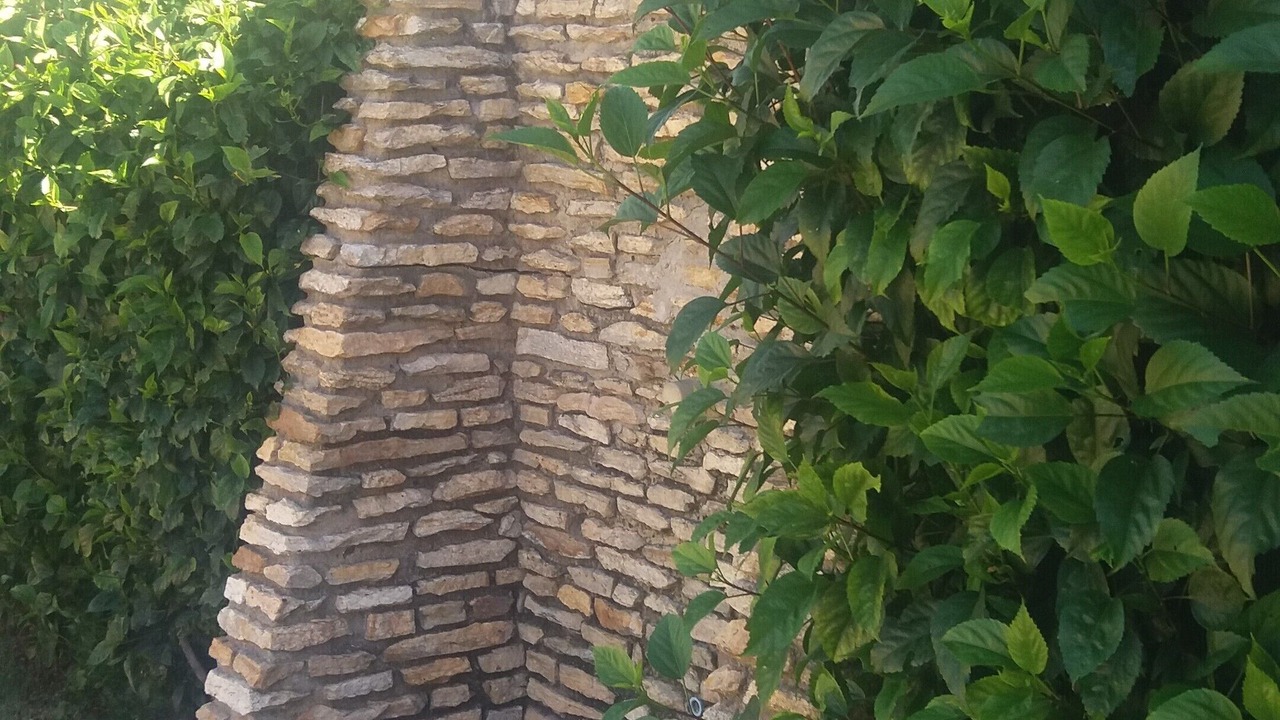 Photo of Outdoor in Ferradurinha