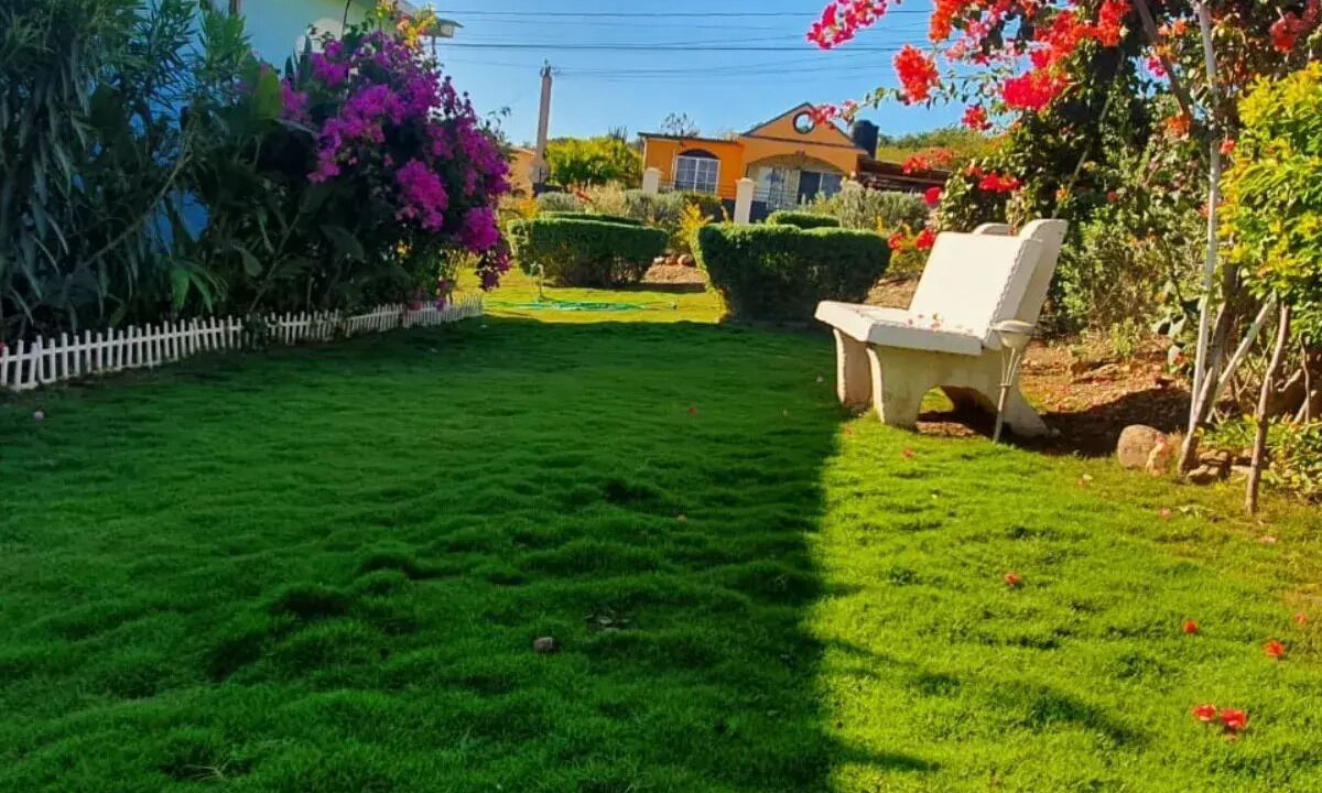 Photo of Outdoor in Hellshire
