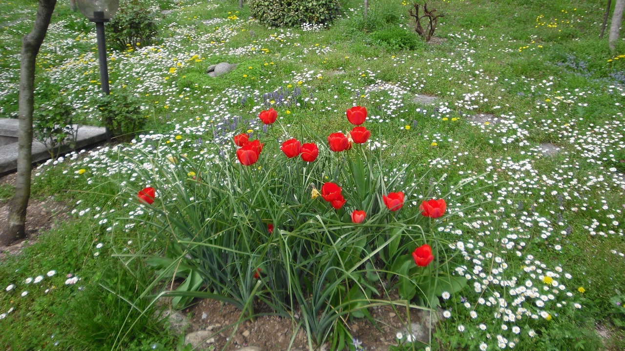 Photo of Outdoor in Sala Comacina