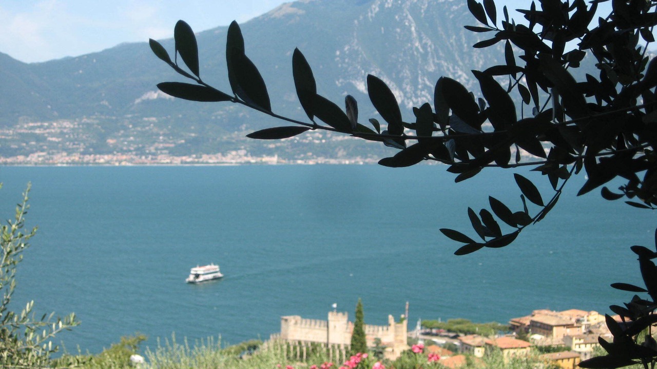 Photo of Others in Torri del Benaco