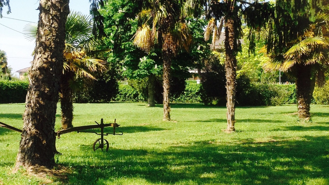 Photo of Outdoor in Ca' Pirami