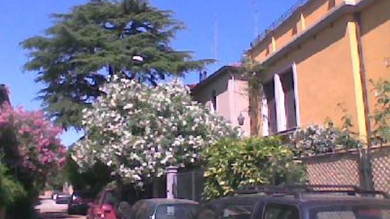 Photo of Outdoor in Santa Maria in Stelle