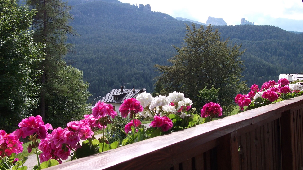 Photo of Outdoor in Cortina d'Ampezzo