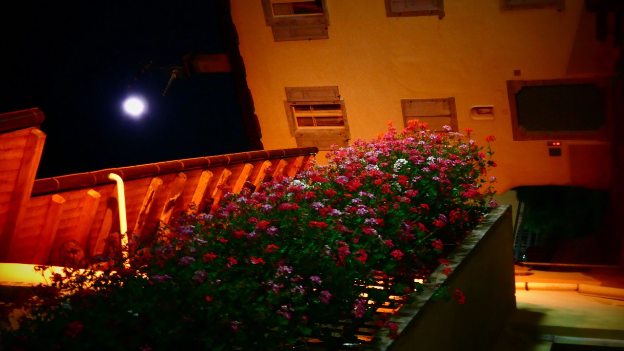 Photo of Outdoor in Bocenago
