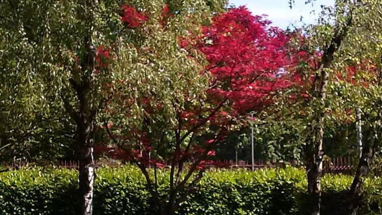 Photo of Outdoor in Borgo Trento