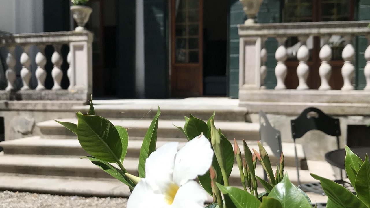 Photo of Outdoor in Santa Maria in Stelle
