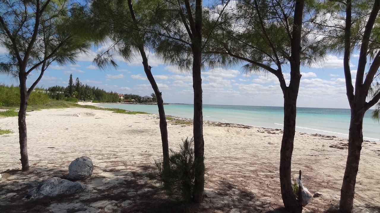 Photo of Others in Bahamia West