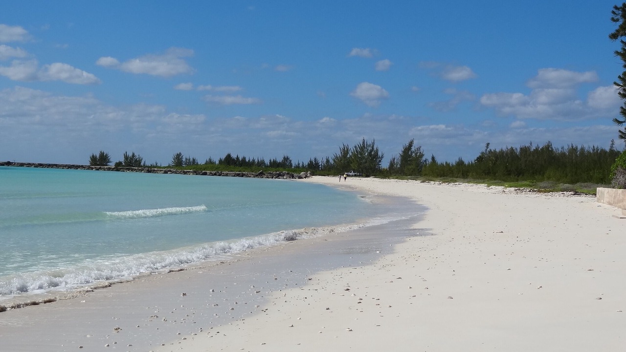 Photo of Others in Bahamia West
