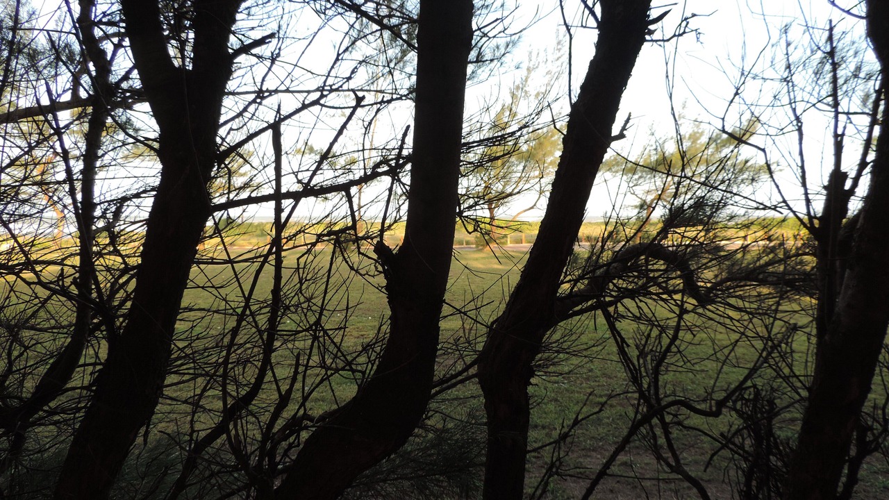 Photo of Outdoor in Tamoios