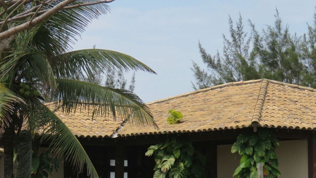Photo of Outdoor in Tamoios