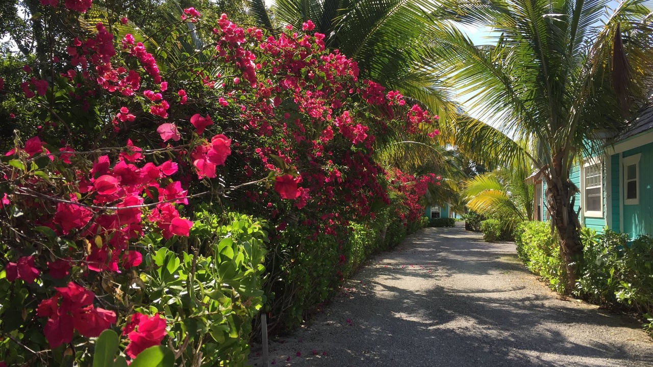 Photo of Outdoor in Freeport