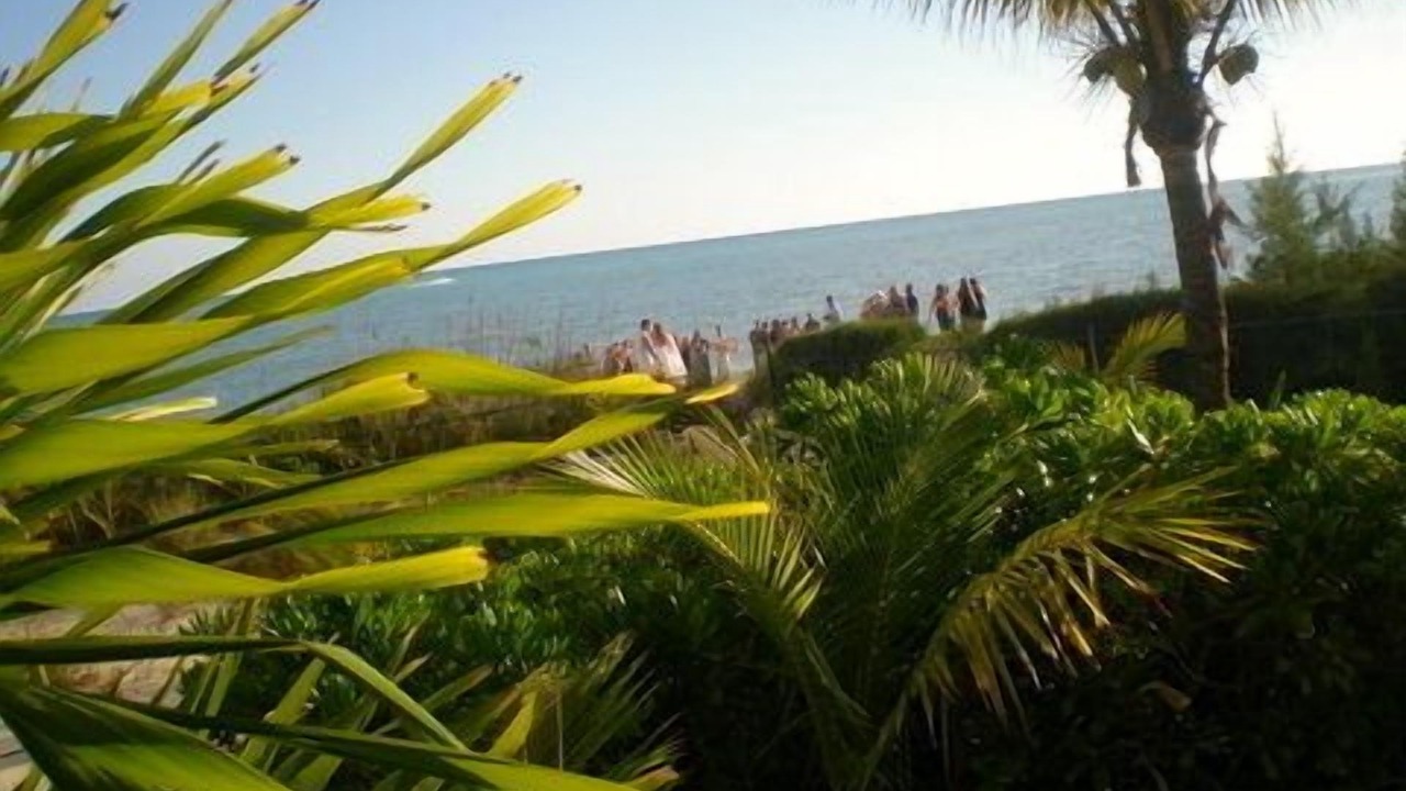 Photo of Others in Freeport