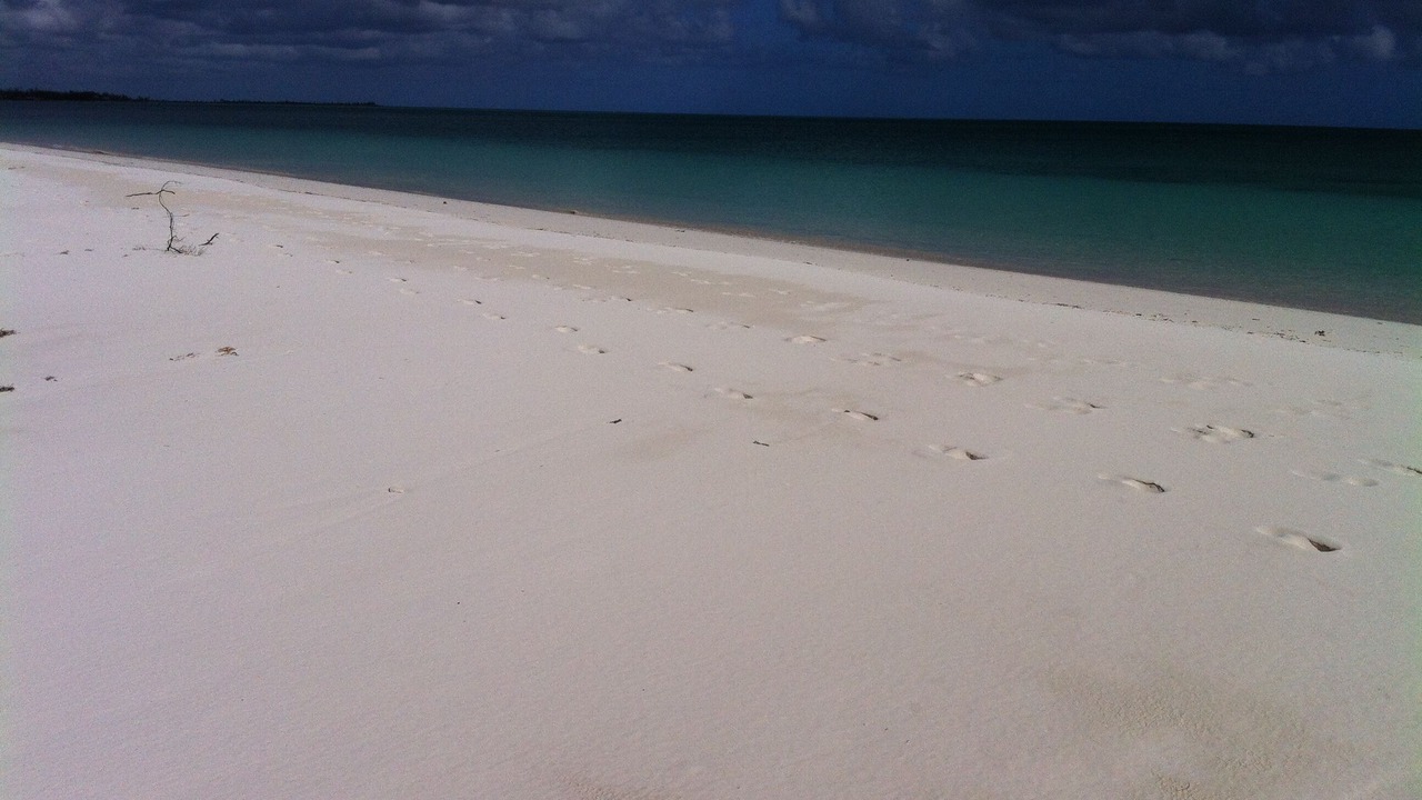 Photo of Others in Freeport