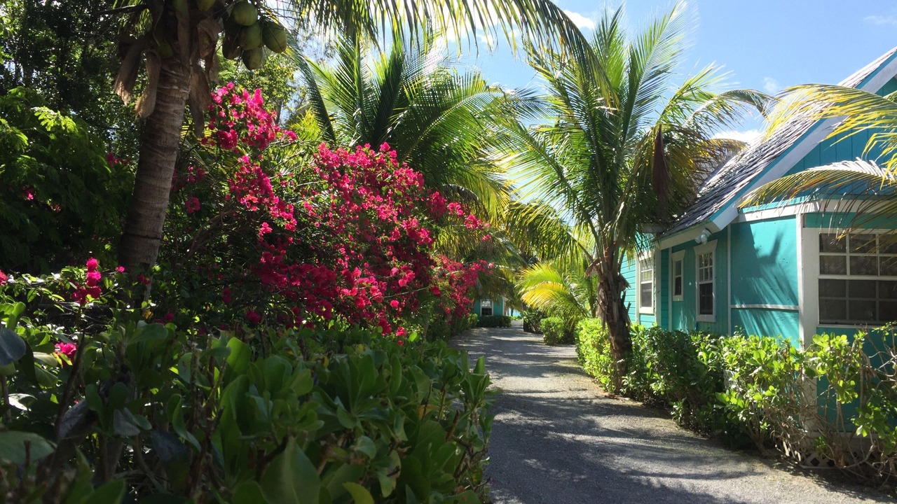 Photo of Outdoor in Freeport