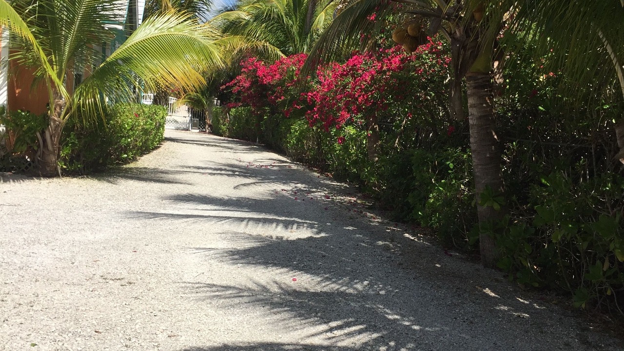 Photo of Outdoor in Freeport