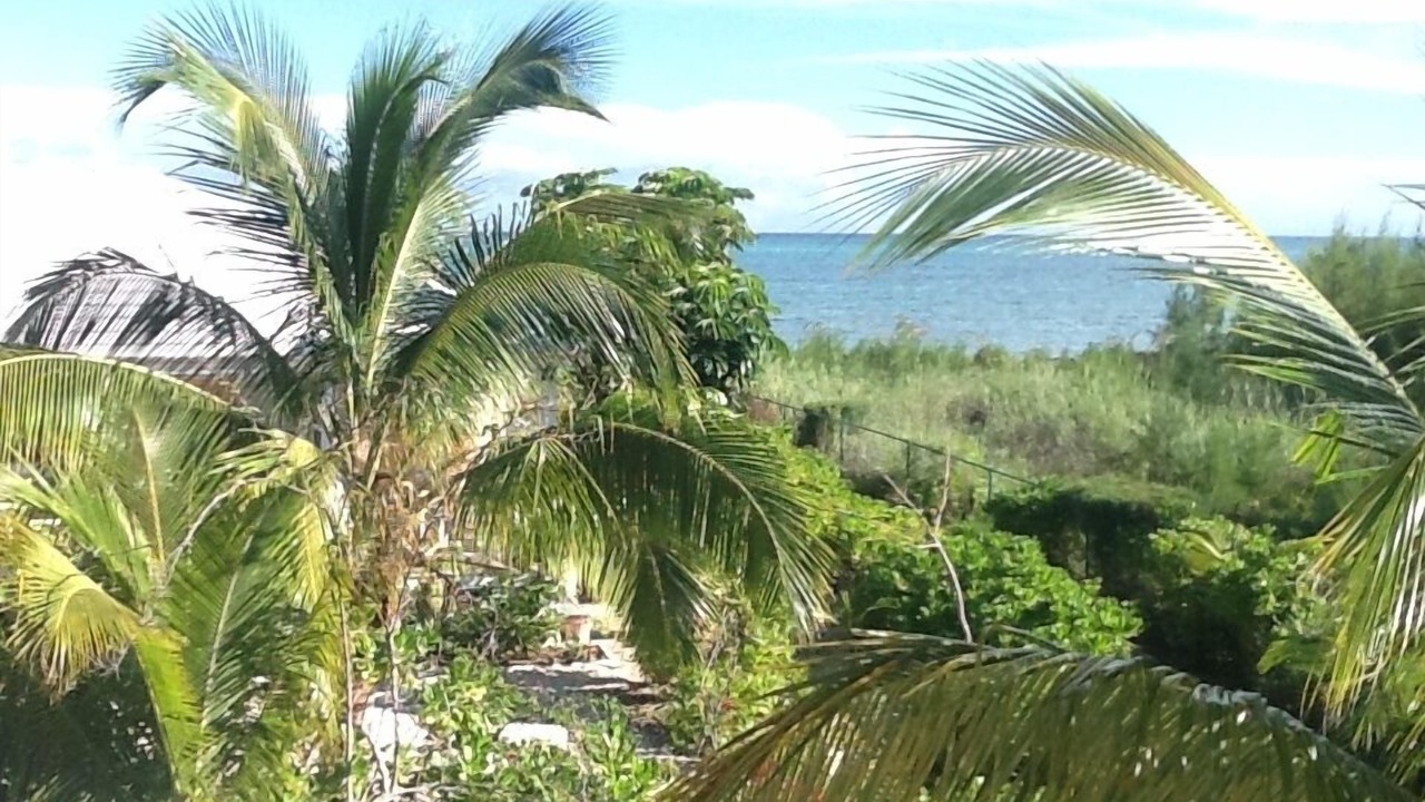 Photo of Outdoor in Freeport