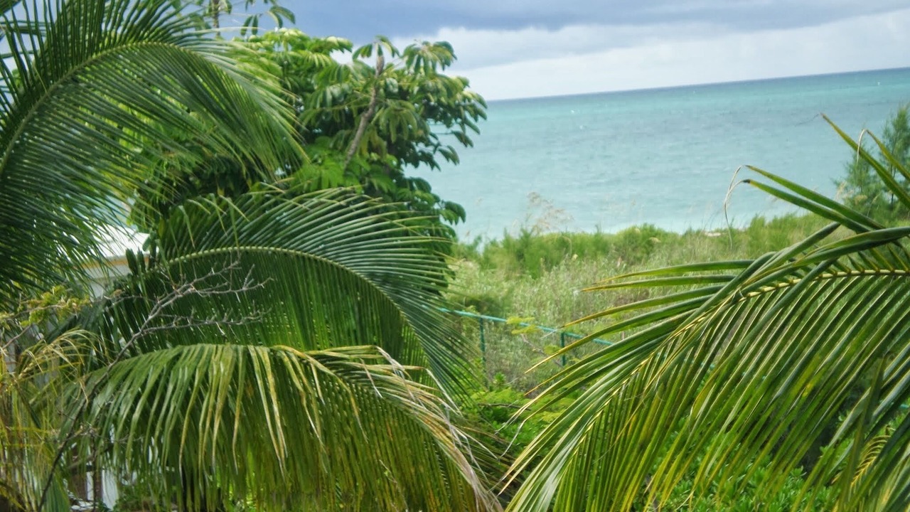 Photo of Outdoor in Freeport
