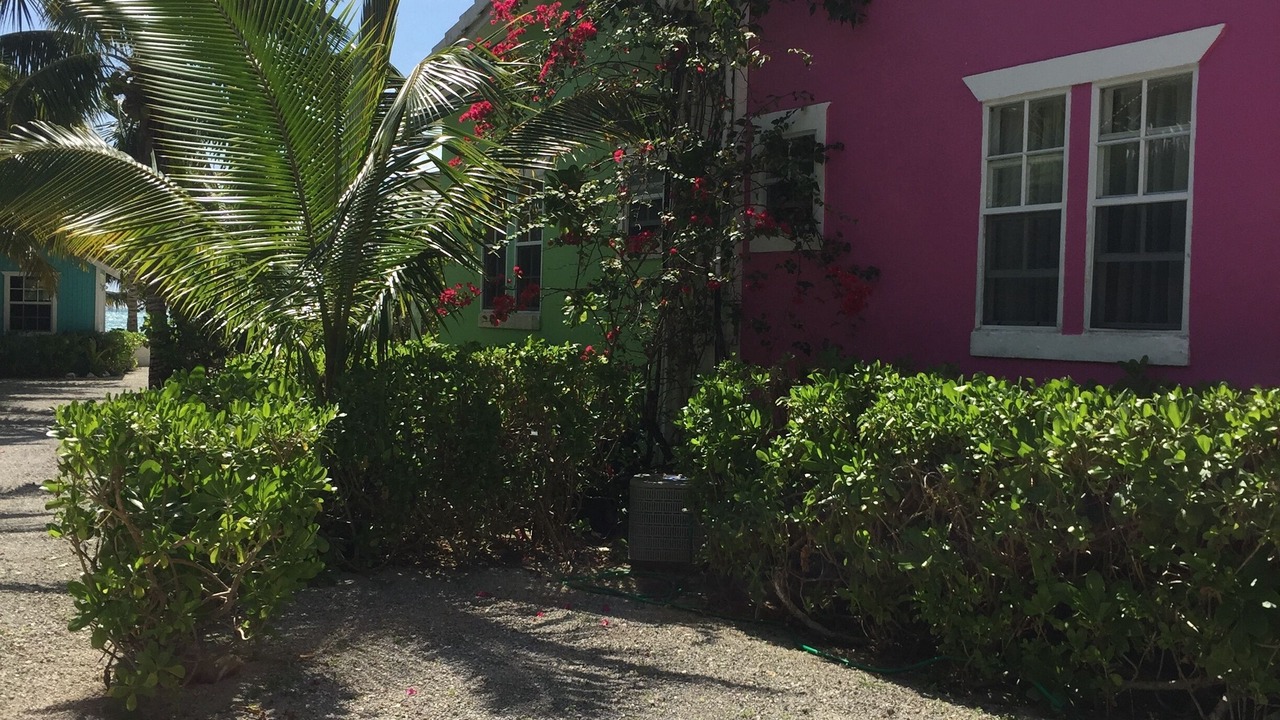 Photo of Outdoor in Freeport