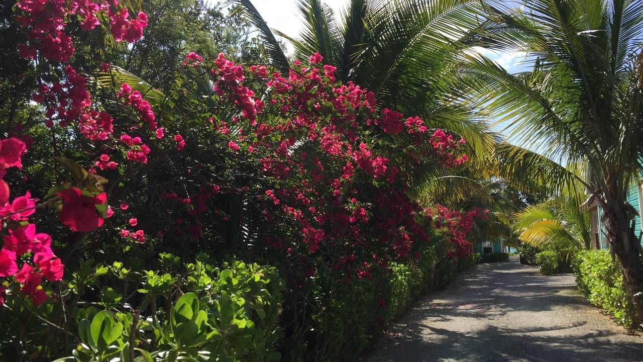 Photo of Outdoor in Freeport