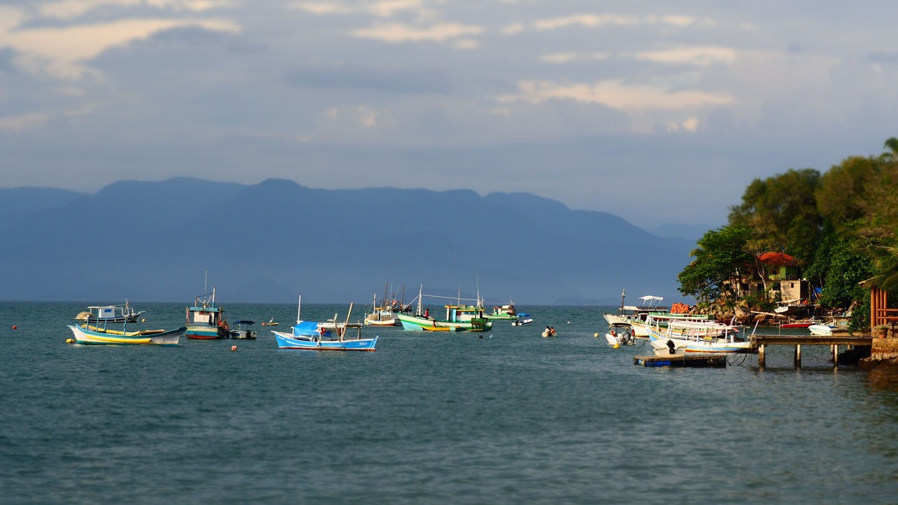 Photo of Others in Paraty