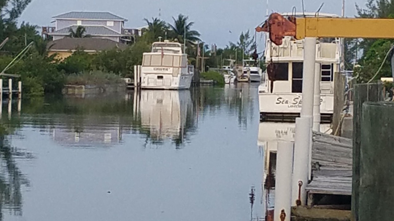 Photo of Others in Port Royal