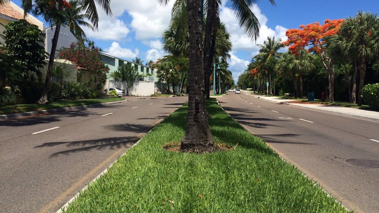 Photo of Outdoor in Paradise Island