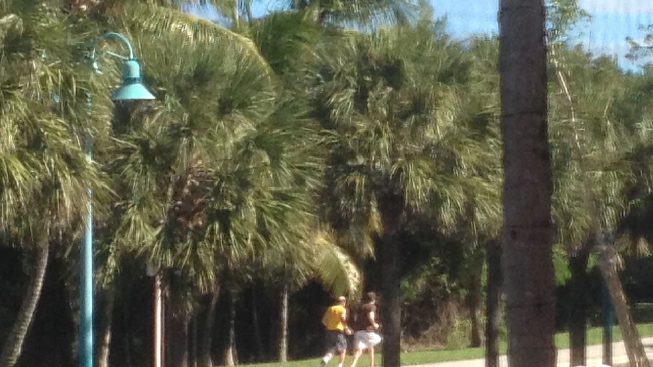 Photo of Others in Paradise Island