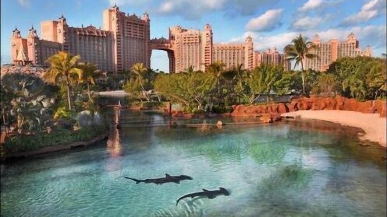 Photo of Others in Paradise Island