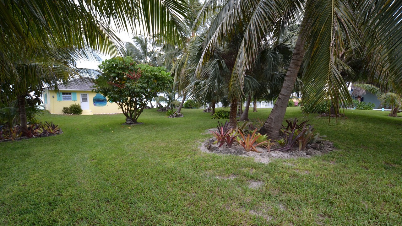 Photo of Outdoor in Spanish Wells