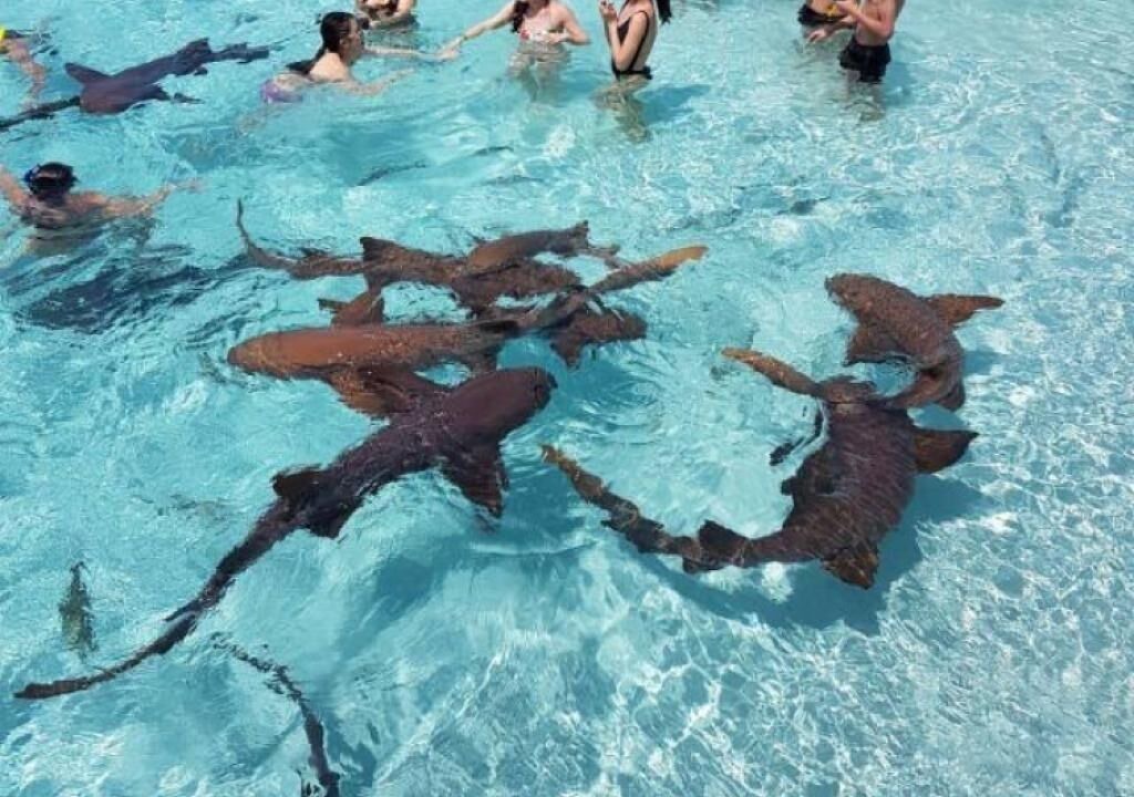 Photo of Outdoor in Out Islands
