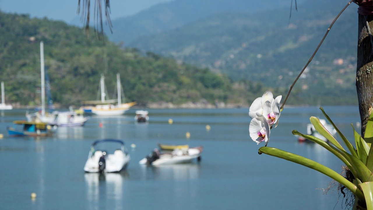 Photo of Outdoor in Paraty