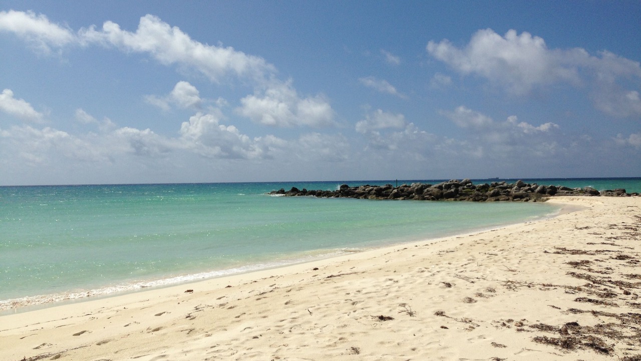 Photo of Others in Bahamas Terrace