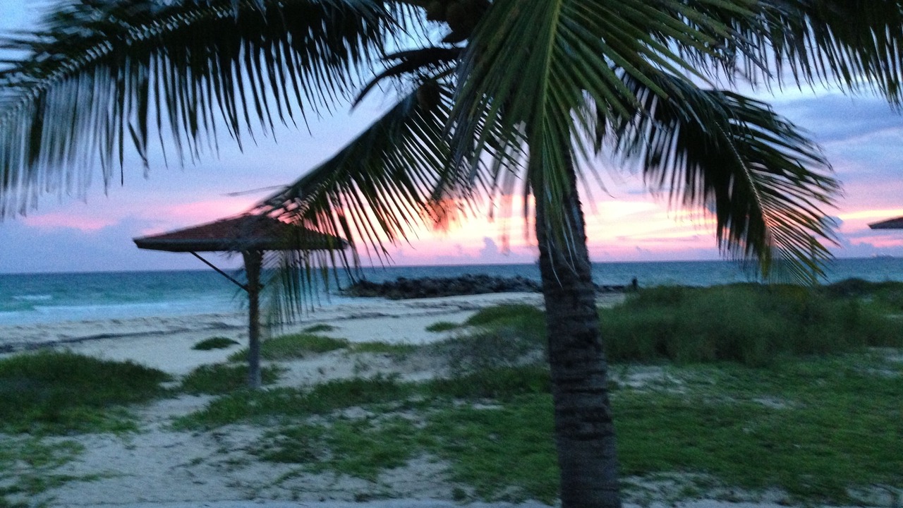 Photo of Others in Bahamas Terrace