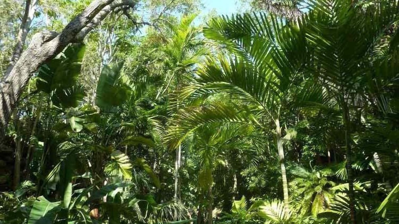 Photo of Outdoor in Freeport