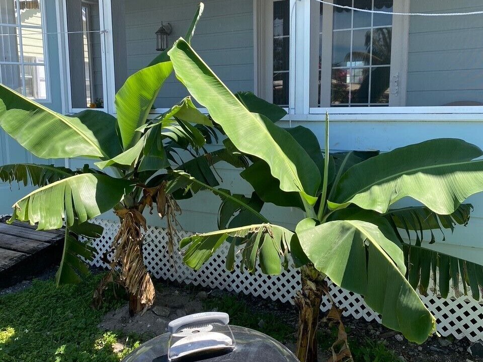 Photo of Outdoor in Treasure Cay