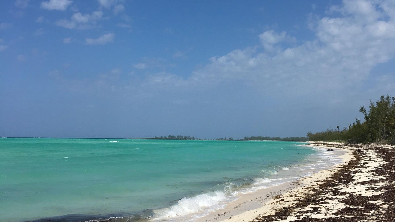Photo of Others in Treasure Cay