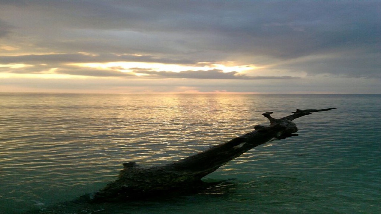 Photo of Others in Bluefields