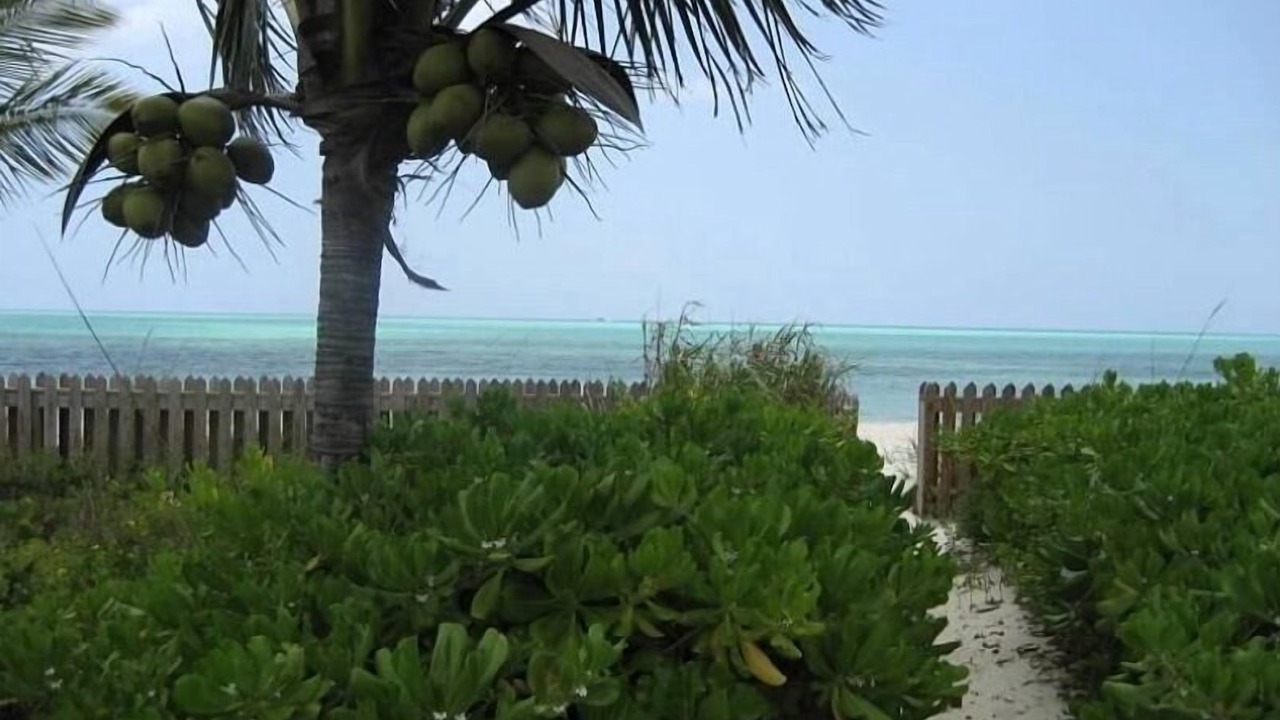 Photo of Outdoor in Freeport