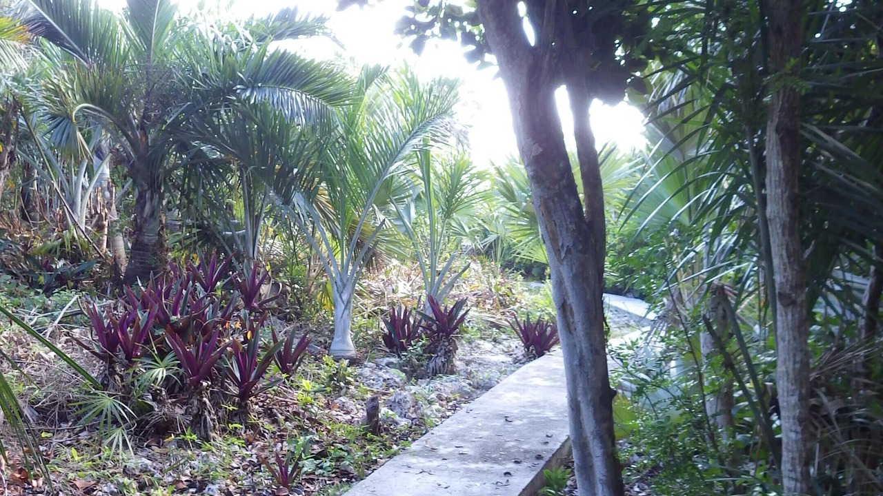 Photo of Others in South Palmetto Point