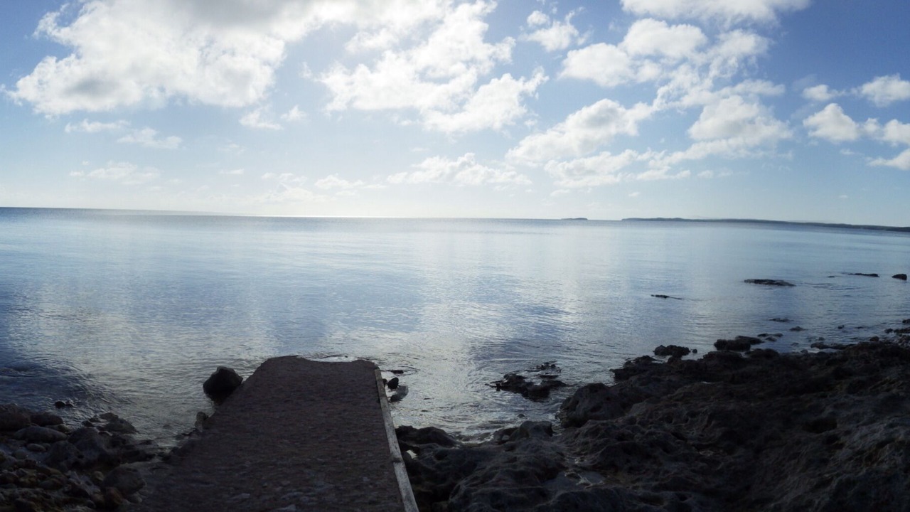 Photo of Others in South Palmetto Point