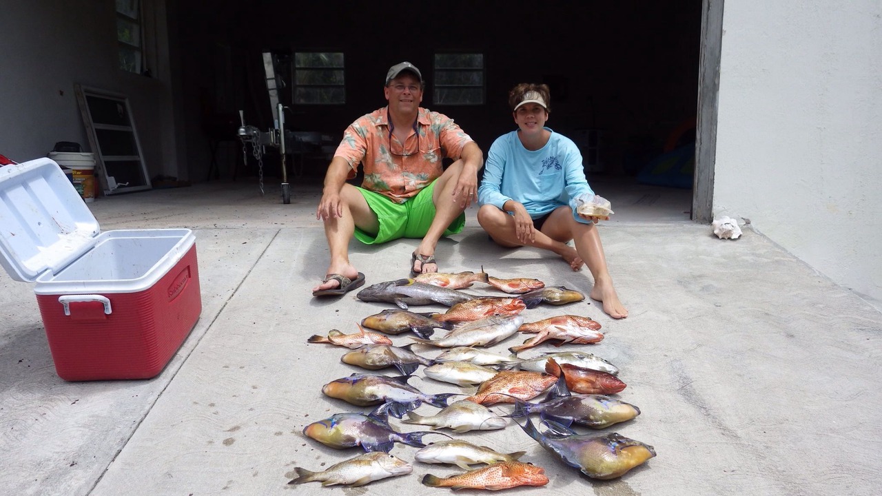 Photo of Others in South Palmetto Point