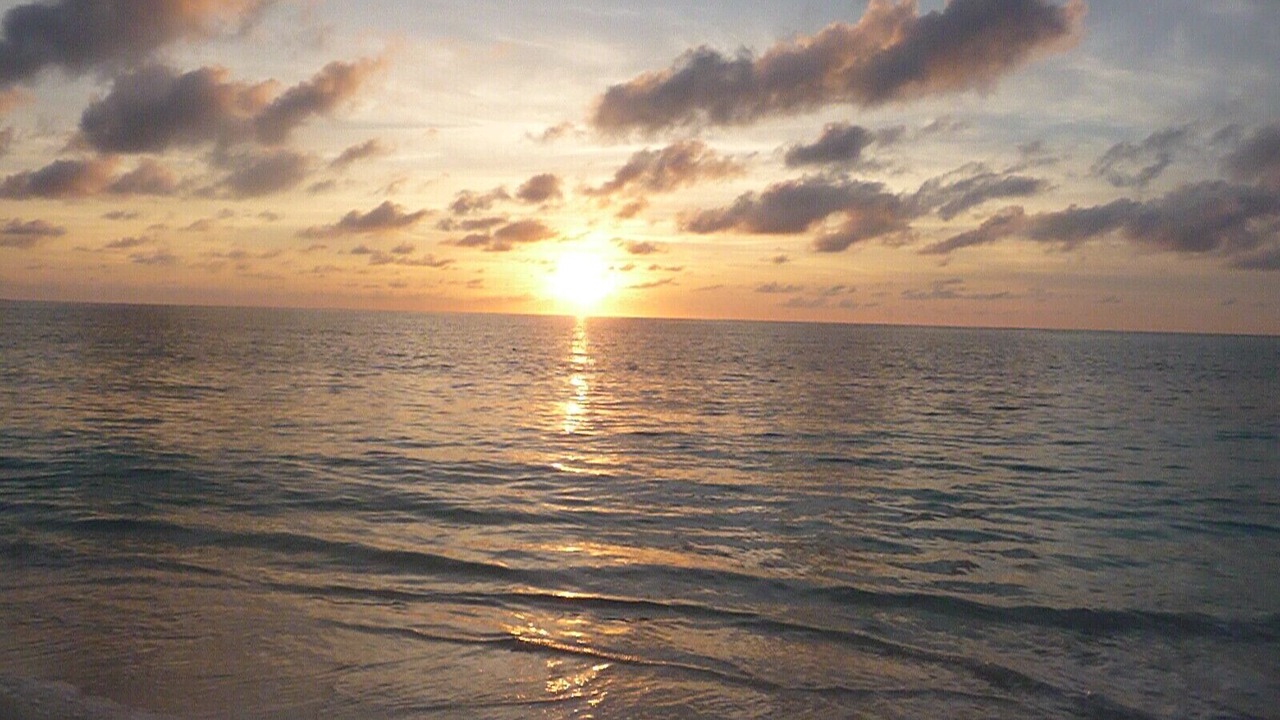 Photo of Others in Bahama Palm Shores